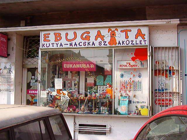 ebubolt.jpg