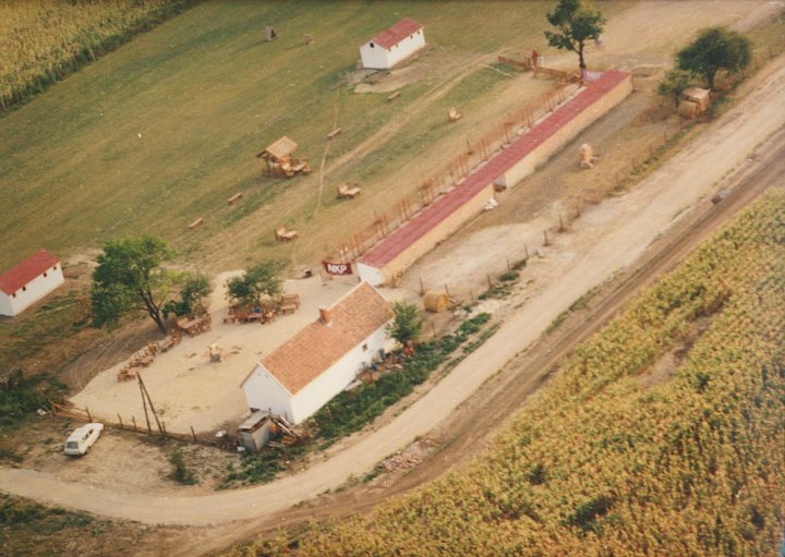 kutyapark.jpg