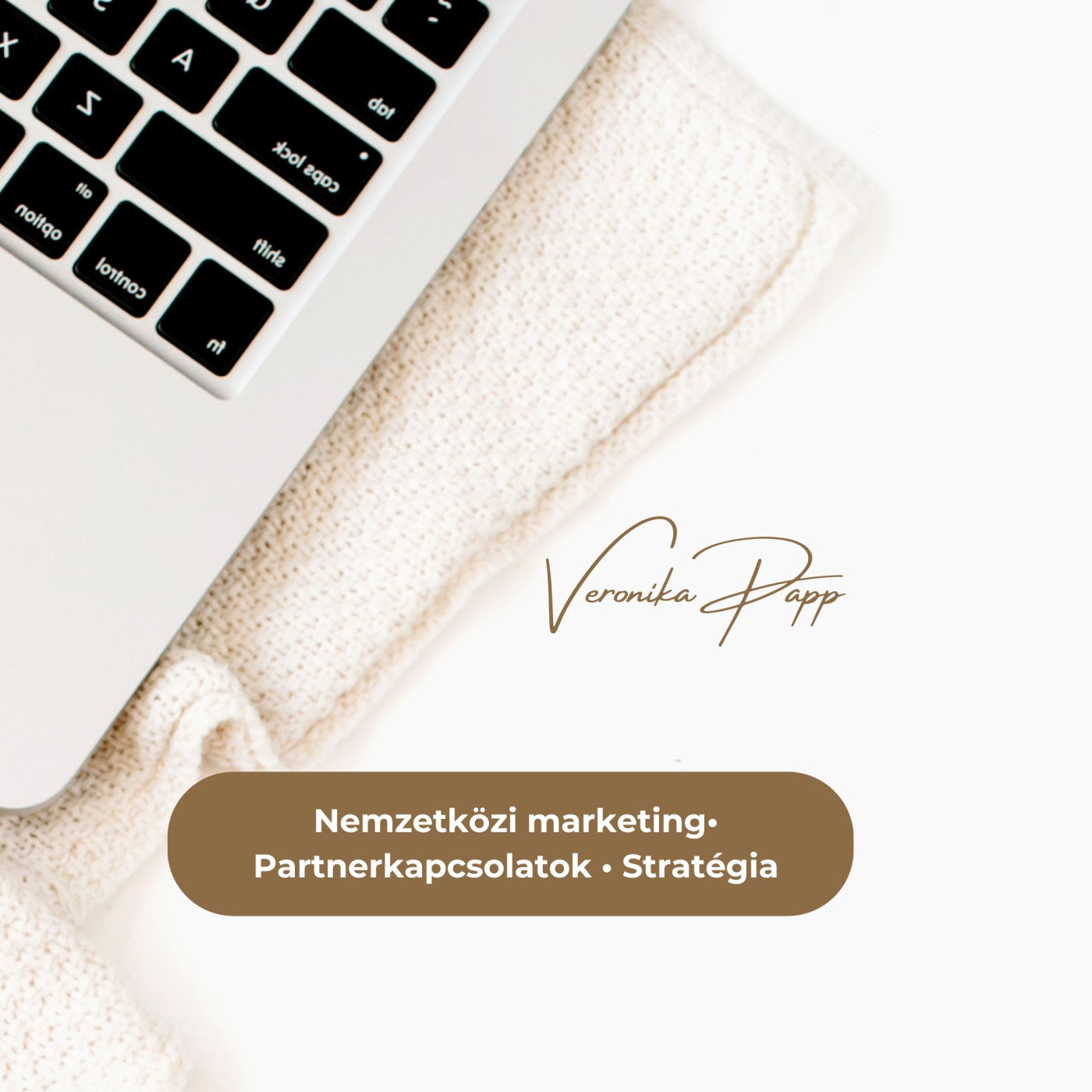 Nemzetközi marketing és üzletfejlesztés